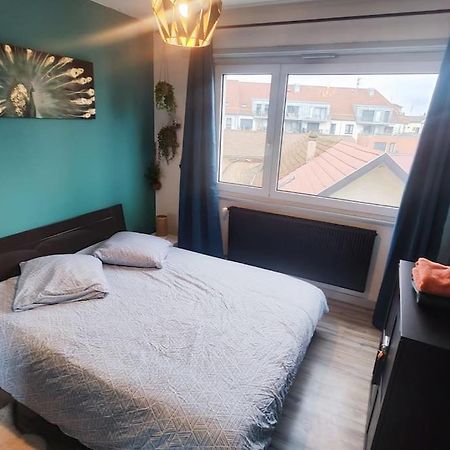 شقة Colmar Chaleureux 5 Mn Du Centre T2 المظهر الخارجي الصورة